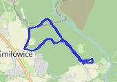 Trasa z dnia 2017-01-11 13:22 Rehabilitacyjnie - mapa trasy gps - marsz