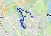 Trasa z dnia 2017-01-17 12:40 - mapa trasy gps - marsz