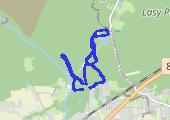 Trasa z dnia 2017-01-17 12:38 Rehabilitacyjnie - mapa trasy gps - marsz