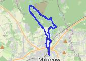Trasa z dnia 2017-01-20 10:30 Rehabilitacyjnie - mapa trasy gps - marsz