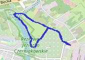 Trasa z dnia 2017-01-20 12:21 - mapa trasy gps - marsz