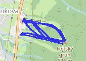 Trasa z dnia 2017-01-20 11:32 - mapa trasy gps - narty