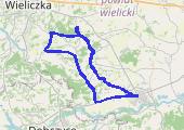 Trasa z dnia 2017-01-21 17:31 - mapa trasy gps - rower górski