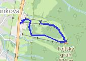 Trasa z dnia 2017-01-17 13:20 - mapa trasy gps - narty
