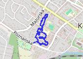 Trasa z dnia 2017-01-24 13:02 - mapa trasy gps - spacer