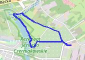 Trasa z dnia 2017-01-25 12:28 - mapa trasy gps - marsz