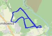 Trasa z dnia 2017-01-25 14:10 Rehabilitacyjnie - mapa trasy gps - marsz