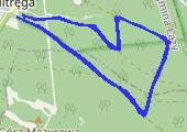 bieganie 10,3 - mapa trasy gps - bieganie