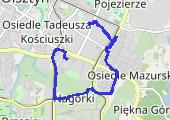 Trasa z dnia 2017-01-29 19:18 - mapa trasy gps - marsz