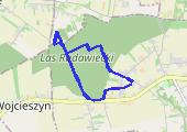 Trasa z dnia 2017-02-12 16:30 - mapa trasy gps - narty biegowe