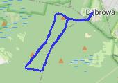 Trasa z dnia 2017-02-14 17:56 - mapa trasy gps - narty biegowe