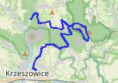 2017-01-08_16-07-09[1] - mapa trasy gps - marsz