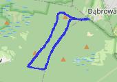 Trasa z dnia 2017-02-28 16:16 - mapa trasy gps - nordic walking