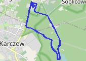 Trasa z dnia 2017-03-04 10:41 - mapa trasy gps - bieganie