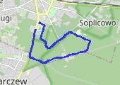 Trasa z dnia 2017-03-07 10:31 - mapa trasy gps - bieganie