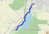 12 km + przebieżki 7 x 30s - mapa trasy gps - bieganie