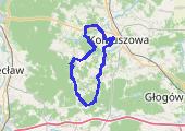 Trasa z dnia 2017-03-11 14:28 - mapa trasy gps - rower górski
