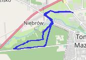 Trasa z dnia 2013-06-05 19:22 - mapa trasy gps - bieganie