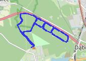 Trasa z dnia 2017-03-13 12:04 - mapa trasy gps - bieganie