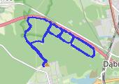 Trasa z dnia 2017-03-13 12:04 - mapa trasy gps - bieganie