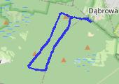 Trasa z dnia 2017-03-15 17:55 - mapa trasy gps - nordic walking