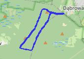 Trasa z dnia 2017-03-20 18:57 - mapa trasy gps - nordic walking