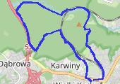 Trasa z dnia 2017-03-21 18:46 - mapa trasy gps - marsz