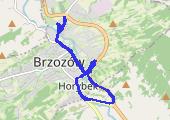 Trasa z dnia 2017-03-21 19:06 - mapa trasy gps - bieganie
