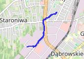 Trasa z dnia 2017-03-29 17:23 - mapa trasy gps - marsz