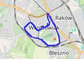 Trasa z dnia 2017-03-29 20:46 - mapa trasy gps - marsz
