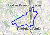 Trasa z dnia 2017-03-31 14:43 - mapa trasy gps - marsz