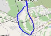 Trasa z dnia 2017-04-01 11:16 - mapa trasy gps - marsz