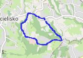 Trasa z dnia 2017-04-08 15:27 - mapa trasy gps - marsz