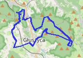 Trasa z dnia 2013-06-08 13:59 - mapa trasy gps - rower górski
