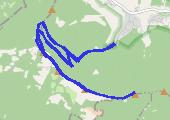 Trasa z dnia 2017-05-01 18:00 - mapa trasy gps - marsz