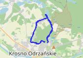 Trasa z dnia 2017-05-10 13:35 - mapa trasy gps - bieganie