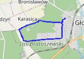 Trasa z dnia 2017-05-19 19:35 - mapa trasy gps - bieganie