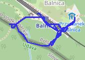 2017-05-21 W Balnicy - mapa trasy gps - spacer