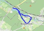 Trasa z dnia 2017-05-25 19:02 - mapa trasy gps - marsz