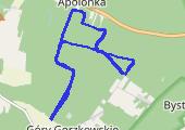 Trasa z dnia 2017-05-31 18:17 - mapa trasy gps - bieganie
