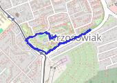 Trasa z dnia 2017-05-31 20:25 - mapa trasy gps - marsz