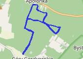 Trasa z dnia 2017-06-04 12:34 - mapa trasy gps - bieganie