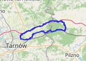 Czarna techniczną (wreszcie) z M. - mapa trasy gps - rower trekkingowy