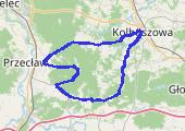 Trasa z dnia 2017-06-10 13:19 - mapa trasy gps - rower szosowy