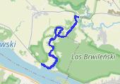 Trasa z dnia 2017-06-11 16:33 - mapa trasy gps - łódź