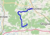 Trasa z dnia 2017-06-12 19:41 - mapa trasy gps - rower szosowy