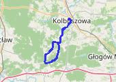 Trasa z dnia 2017-06-15 10:04 - mapa trasy gps - rower szosowy