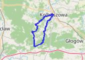 Trasa z dnia 2017-06-16 11:29 - mapa trasy gps - rower szosowy
