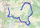 Lubiąż - mapa trasy gps - rower szosowy
