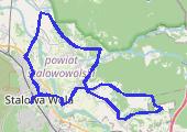 Trasa z dnia 2017-06-19 21:14 - mapa trasy gps - rower trekkingowy